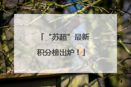 “苏超”最新积分榜出炉！