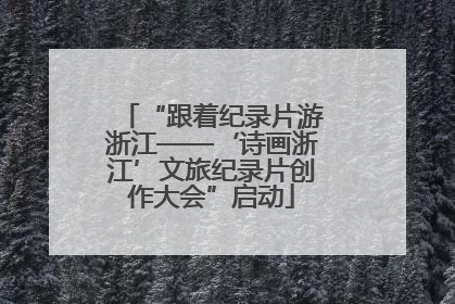 “跟着纪录片游浙江——‘诗画浙江’文旅纪录片创作大会”启动