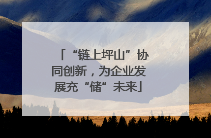 “链上坪山”协同创新，为企业发展充“储”未来