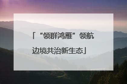 “领群鸿雁”领航边境共治新生态