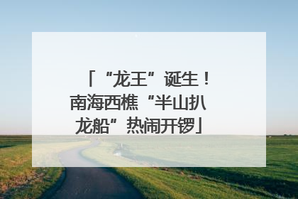 “龙王”诞生！南海西樵“半山扒龙船”热闹开锣