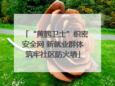 “黄鹤卫士”织密安全网 新就业群体筑牢社区防火墙