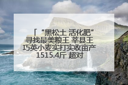 “黑松土 活化肥”寻找最美粮王 莘县王巧英小麦实打实收亩产1515.4斤 超对照田144斤！