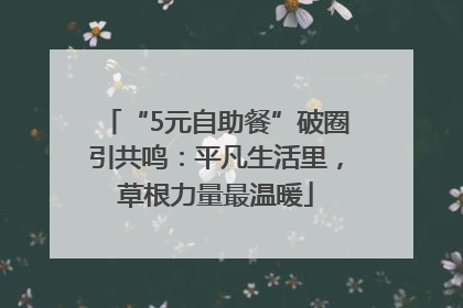 “5元自助餐”破圈引共鸣：平凡生活里，草根力量最温暖