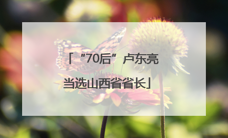 “70后”卢东亮当选山西省省长