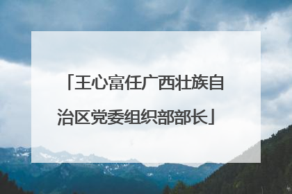 王心富任广西壮族自治区党委组织部部长