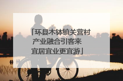 环县木钵镇关营村 产业融合引客来 宜居宜业更宜游