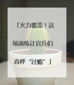 火力覆盖！这场演练让官兵们直呼“过瘾”