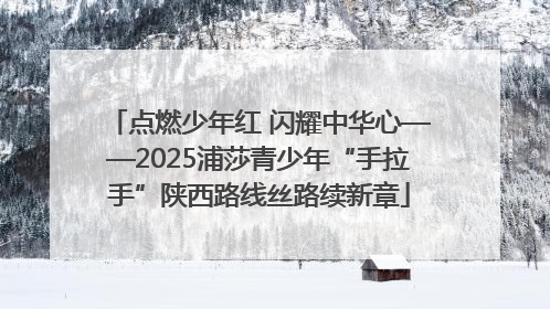 点燃少年红 闪耀中华心——2025浦莎青少年“手拉手”陕西路线丝路续新章