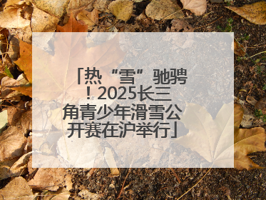 热“雪”驰骋！2025长三角青少年滑雪公开赛在沪举行