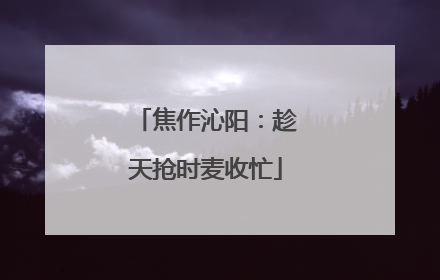 焦作沁阳：趁天抢时麦收忙