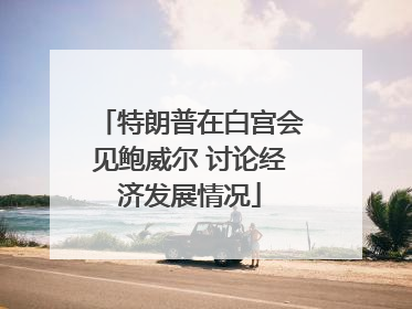 特朗普在白宫会见鲍威尔 讨论经济发展情况