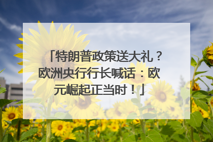 特朗普政策送大礼？欧洲央行行长喊话：欧元崛起正当时！