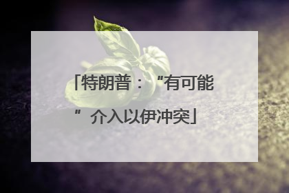 特朗普：“有可能”介入以伊冲突
