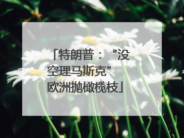 特朗普：“没空理马斯克” 欧洲抛橄榄枝