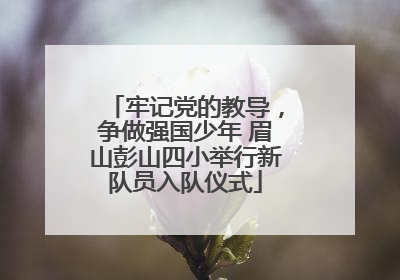 牢记党的教导，争做强国少年 眉山彭山四小举行新队员入队仪式