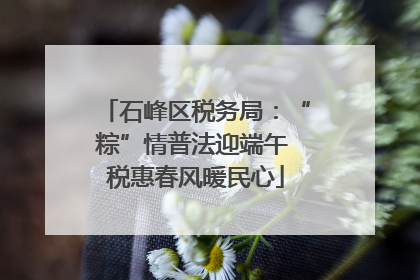 石峰区税务局：“粽”情普法迎端午 税惠春风暖民心