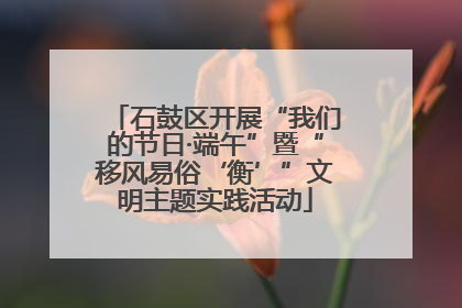 石鼓区开展“我们的节日·端午”暨“移风易俗‘衡’”文明主题实践活动