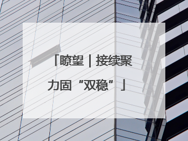 瞭望｜接续聚力固“双稳”