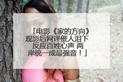 电影《家的方向》观影后网评催人泪下 反应百姓心声 两岸统一成最强音！