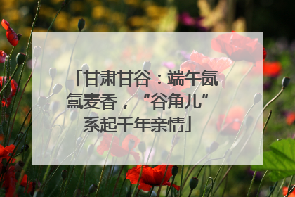 甘肃甘谷：端午氤氲麦香，“谷角儿”系起千年亲情