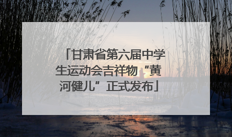 甘肃省第六届中学生运动会吉祥物“黄河健儿”正式发布