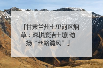 甘肃兰州七里河区烟草：深耕廉洁土壤 劲扬“丝路清风”