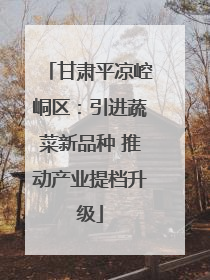 甘肃平凉崆峒区：引进蔬菜新品种 推动产业提档升级