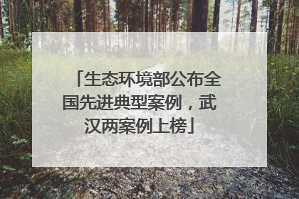 生态环境部公布全国先进典型案例，武汉两案例上榜