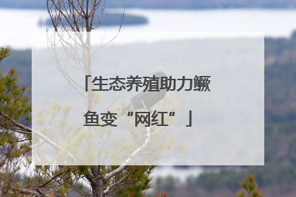 生态养殖助力鳜鱼变“网红”