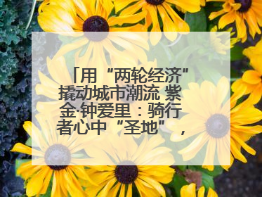 用“两轮经济”撬动城市潮流 紫金·钟爱里：骑行者心中“圣地”，打造南京的“阿那亚”