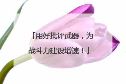 用好批评武器，为战斗力建设增速！