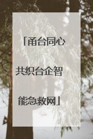 甬台同心共织台企智能急救网