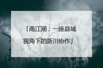甬江潮：一座县域视角下的浙川协作