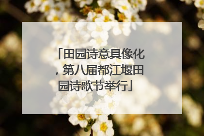 田园诗意具像化，第八届都江堰田园诗歌节举行