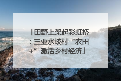田野上架起彩虹桥：三亚水蛟村“农田+”激活乡村经济