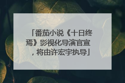 番茄小说《十日终焉》影视化导演官宣，将由许宏宇执导