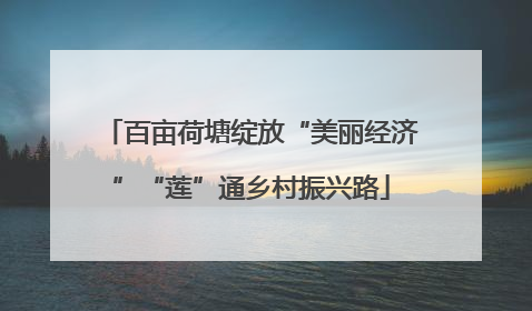 百亩荷塘绽放“美丽经济”“莲”通乡村振兴路