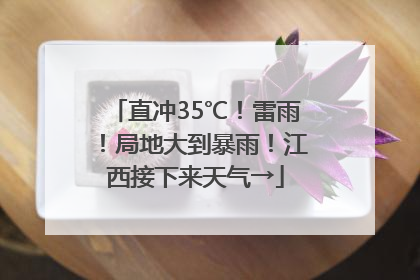 直冲35℃！雷雨！局地大到暴雨！江西接下来天气→