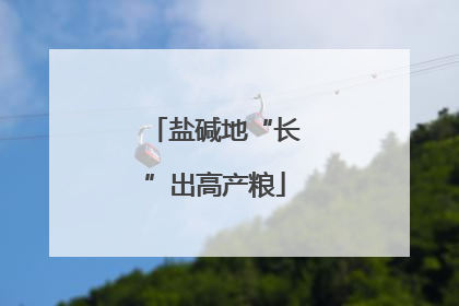 盐碱地“长”出高产粮