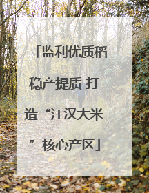 监利优质稻稳产提质 打造“江汉大米”核心产区