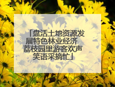 盘活土地资源发展特色林业经济 荔枝园里游客欢声笑语采摘忙