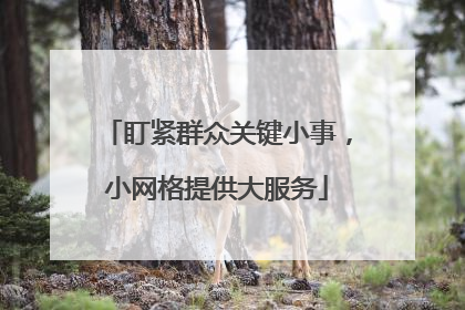盯紧群众关键小事，小网格提供大服务