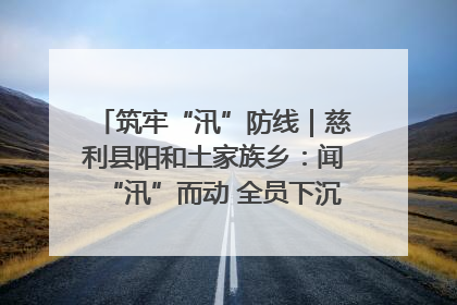 筑牢“汛”防线｜慈利县阳和土家族乡：闻“汛”而动 全员下沉筑牢防汛“安全堤”