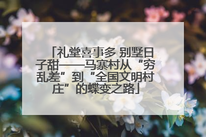 礼堂喜事多 别墅日子甜——马寨村从“穷乱差”到“全国文明村庄”的蝶变之路