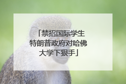 禁招国际学生 特朗普政府对哈佛大学下狠手