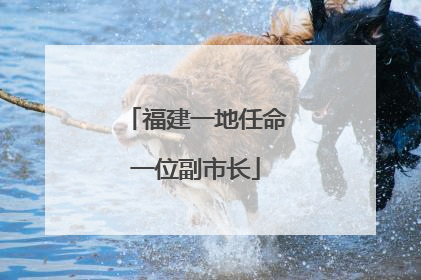 福建一地任命一位副市长