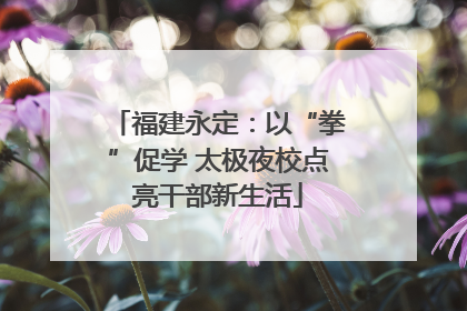 福建永定：以“拳”促学 太极夜校点亮干部新生活