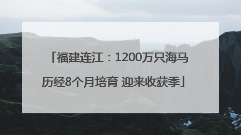 福建连江：1200万只海马历经8个月培育 迎来收获季