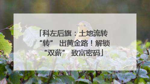 科左后旗：土地流转 “转” 出黄金路！解锁 “双薪” 致富密码